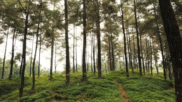 Utsman Medial W Az WO Lod5gunsplash RGB