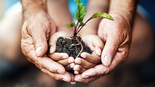 I Stock974643844 RGB